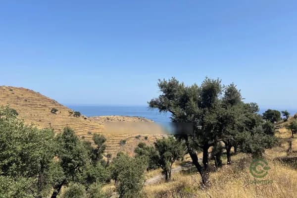 Propriété agricole de 3,18 ha pour vente à Occitanie