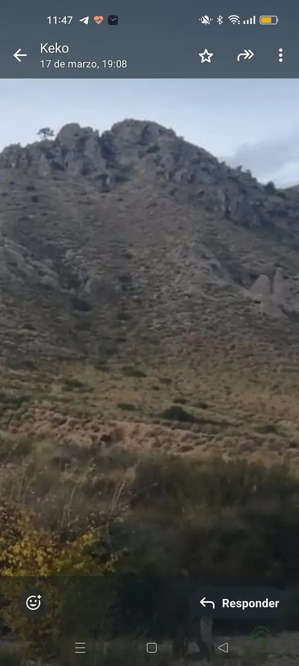 Finca rústica de 5,94 ha en venta en Murcia