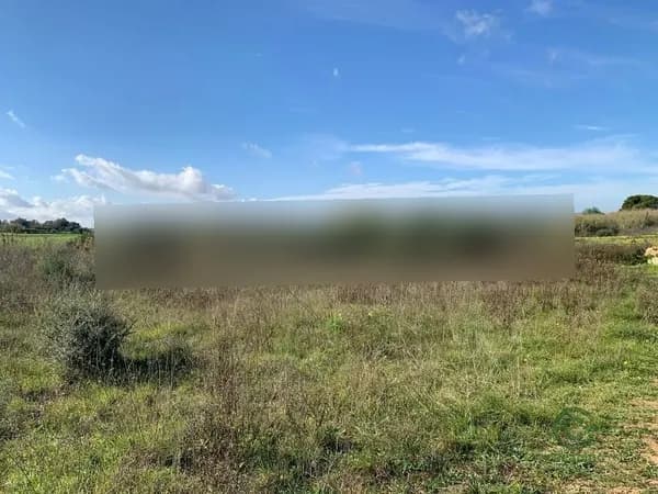 Finca agrícola de 0,2427 ha en venta en Manacor, Baleares