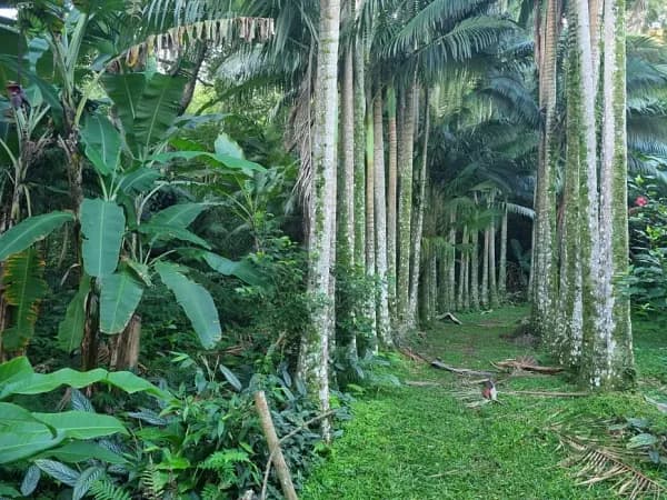Fazenda de recreação de 4,74 ha para venda em Santa catarina