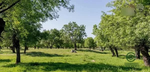 Finca rústica de 37 ha en venta en Madrid
