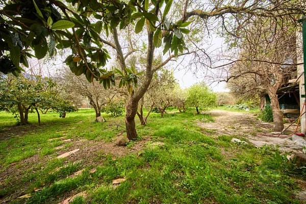 Finca rústica de 0,2558 ha en venta en Orgiva, Granada