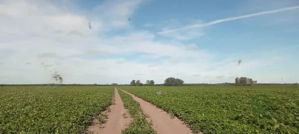 Finca agrícola de 2500 ha en venta en Santa fe