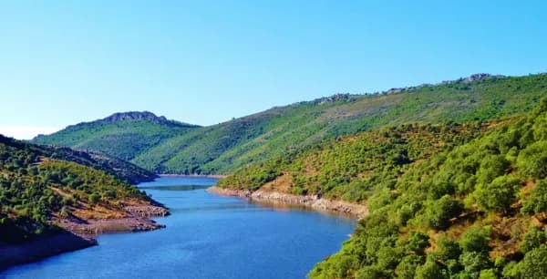 Finca rústica de 1000 ha en venta en Cáceres