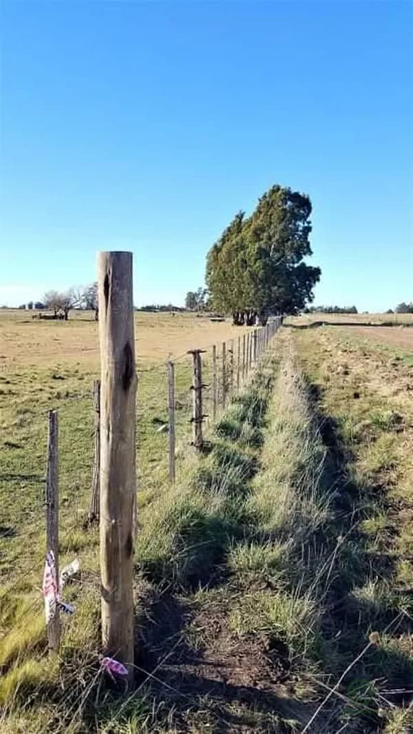 Finca agrícola de 2 ha en venta en Buenos aires