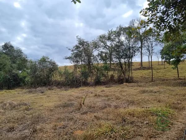 Fazenda rustica de 120 ha para venda em Minas gerais