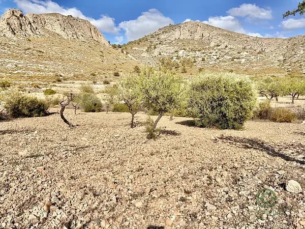Finca rústica de 0,291 ha en venta en Orihuela, Alicante