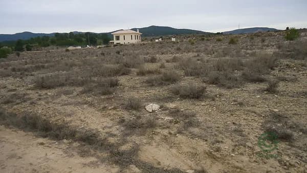 Agricultural property of 0,72 ha for sale in Alicante