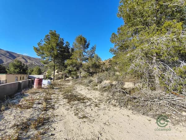Finca rústica de 0,54 ha en venta en Alicante