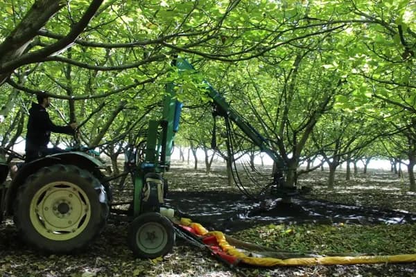 Finca rústica de 10,5 ha en venta en Albacete