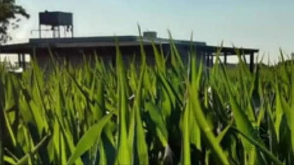 Finca rústica de 177 ha en venta en Buenos aires