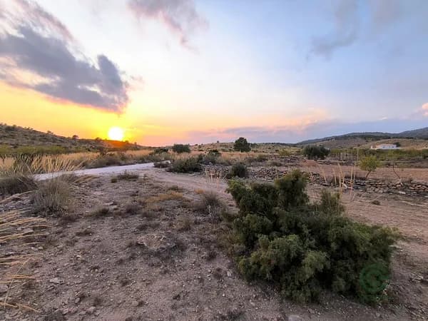 Finca agrícola de 1,22 ha en venta en Pinoso, Alicante