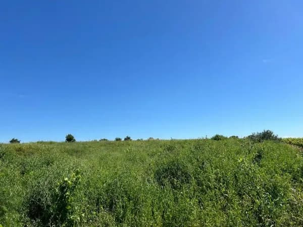 Finca rústica de 0,22 ha en venta en Bollullos par del condado, Huelva