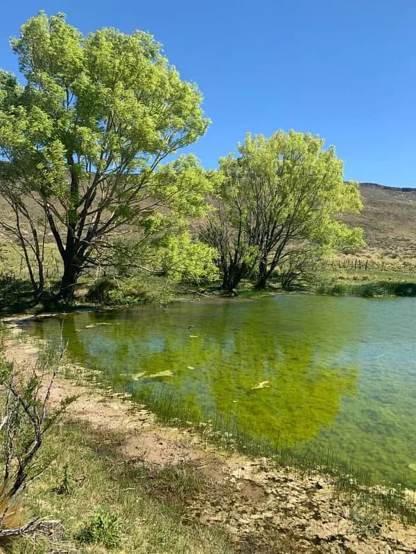 Finca rústica de 7800 ha en venta en Neuquén province
