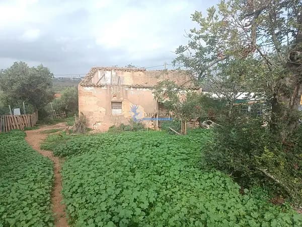 Finca rústica de 2,2 ha en venta en Albufeira, Algarve