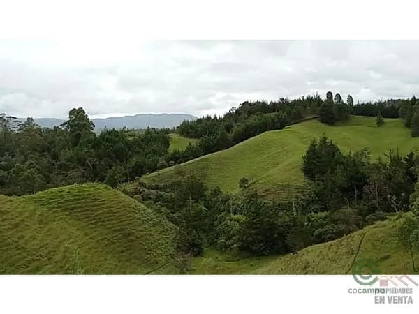 Finca rústica de 0,3473 ha en venta en Antioquia