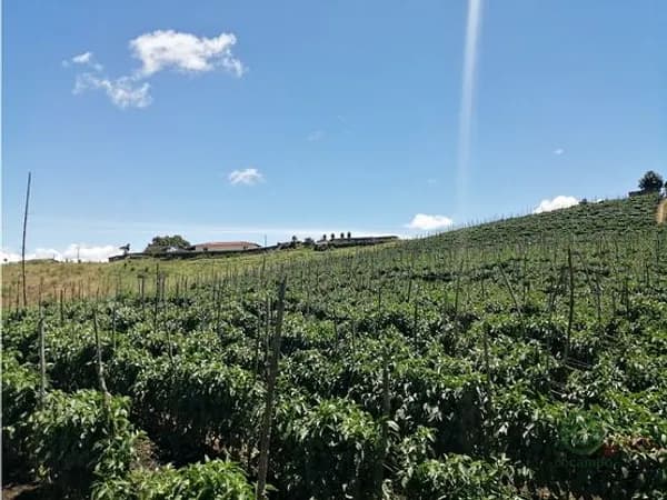 Finca agrícola de 2 ha en venta en Antioquia