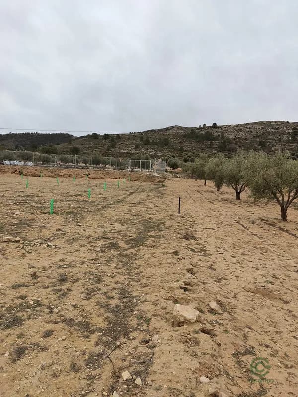 Finca agrícola de 1,05 ha en venta en Villena, Alicante