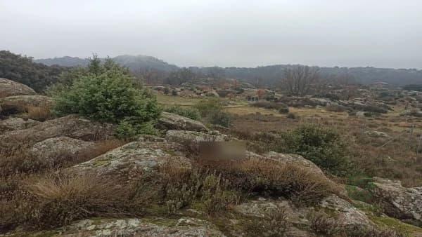 Finca rustica de 3,7 ha per a venda a Madrid