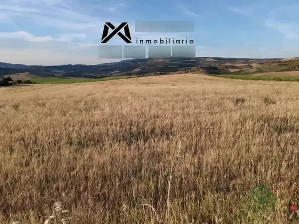 Finca agrícola de 5,17 ha en venta en Setenil, Cadiz
