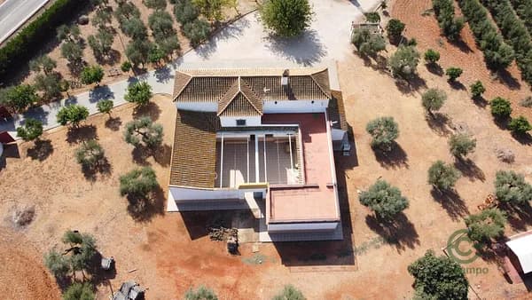 Finca rústica de 17,44 ha en venta en Carmona, Sevilla