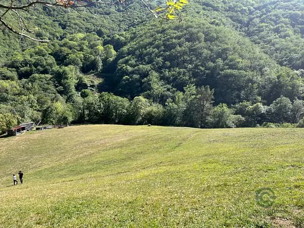 Finca rústica de 4,8 ha en venta en Asturias