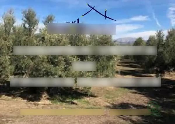 Finca agrícola de 6,5 ha en venta en Linares, Jaen