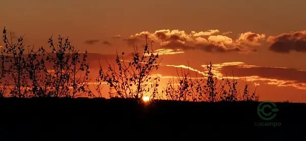 Finca rústica de 177 ha en venta en Cáceres