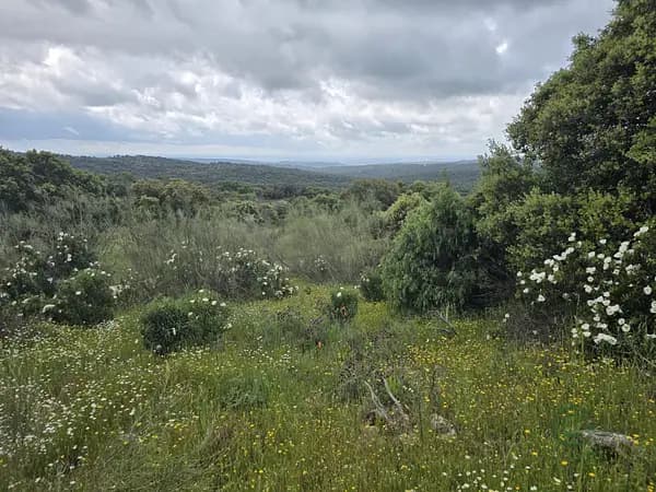 Finca rústica de 1,3531 ha en venta en Madrid