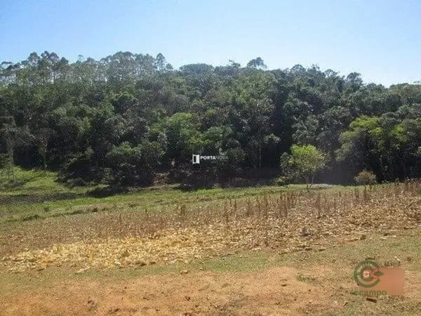 Fazenda agrícola de 18053 ha para venda em São paulo