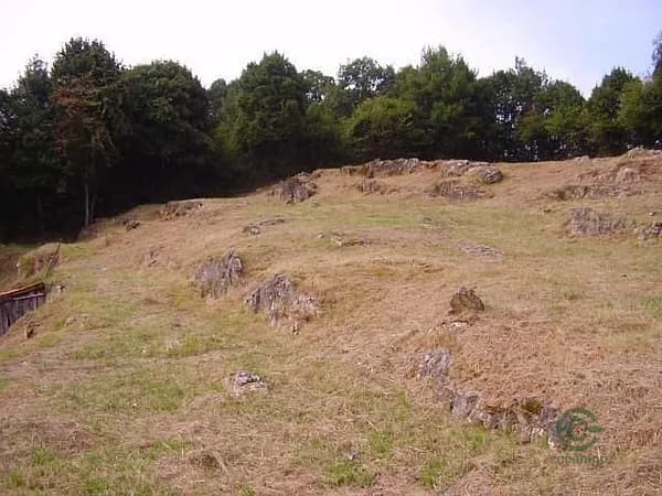 Finca rústica de 0,14 ha en venta en Candamo, Asturias