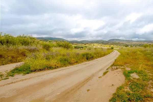 Finca rústica de 260 ha en venta en Madrid
