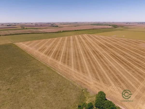 Finca rústica de 393 ha en venta en Santa fe