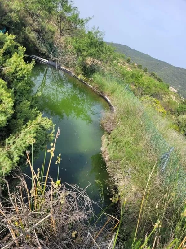 Finca rústica de 1,63 ha en venta en Lorca, Murcia