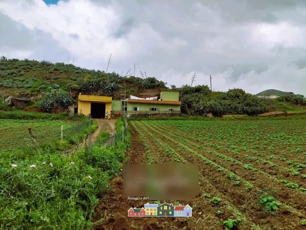 Finca rústica de 2,2 ha en venta en Las palmas