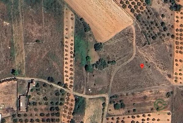 Finca rústica de 0,4687 ha en venta en Vall d'alba, Castellon
