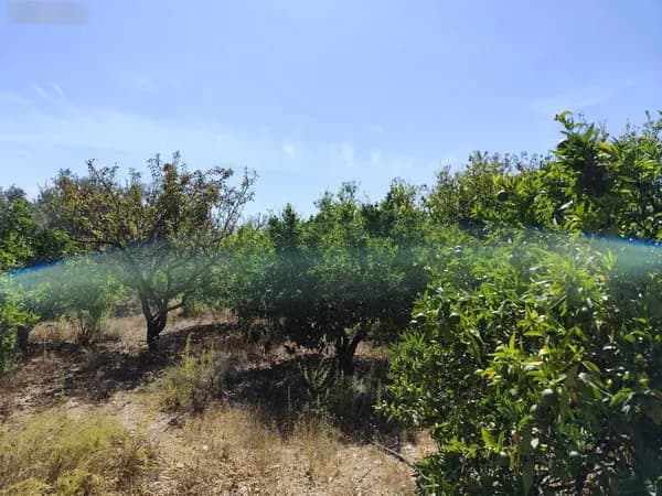 Finca rústica de 0,96 ha en venta en Lecrin, Granada