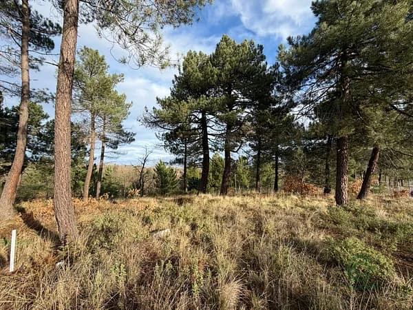 Terreno urbano de 1314 ha en venta en La rioja