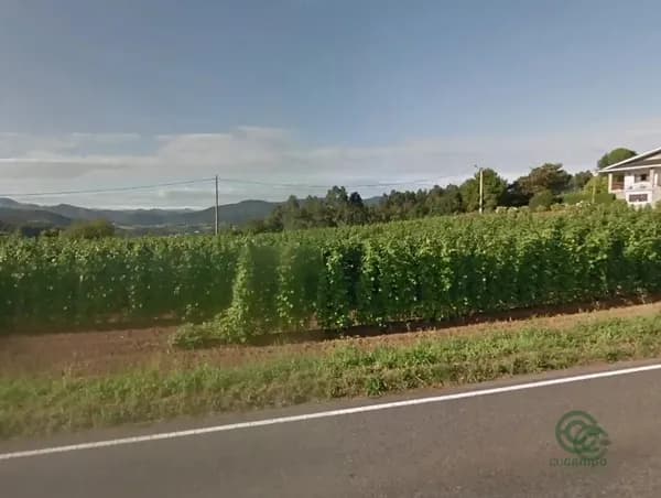 Finca rústica de 0,16 ha en venta en Coana, Asturias