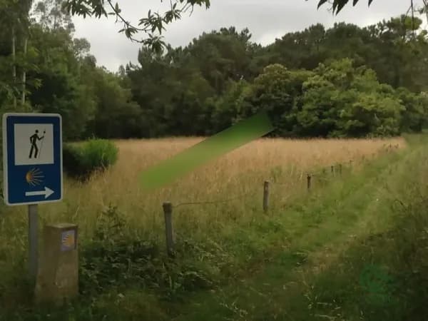 Finca agrícola de 0,23 ha en venta en Navia, Asturias