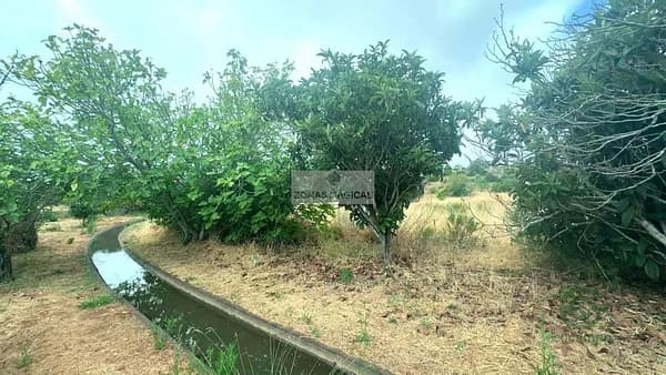 Finca agrícola de 0,5725 ha en venta en Lagos, Algarve