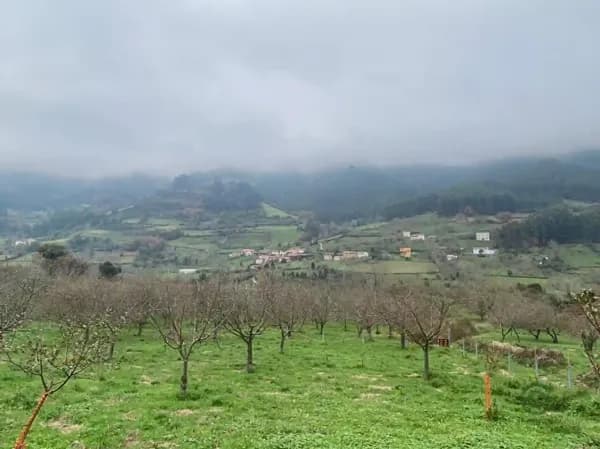 Finca rústica de 0,04 ha en venta en Asturias