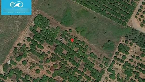 Finca agrícola de 0,1246 ha en venta en Castellon de la plana, Castellon