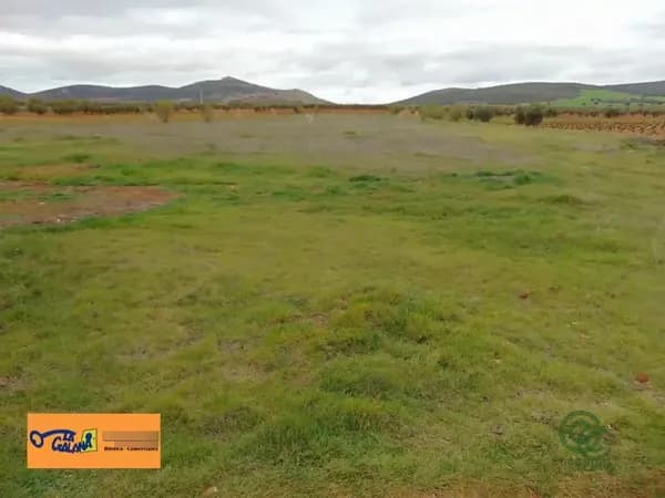 Finca agrícola de 1,5 ha en venta en San carlos del valle, Ciudad real