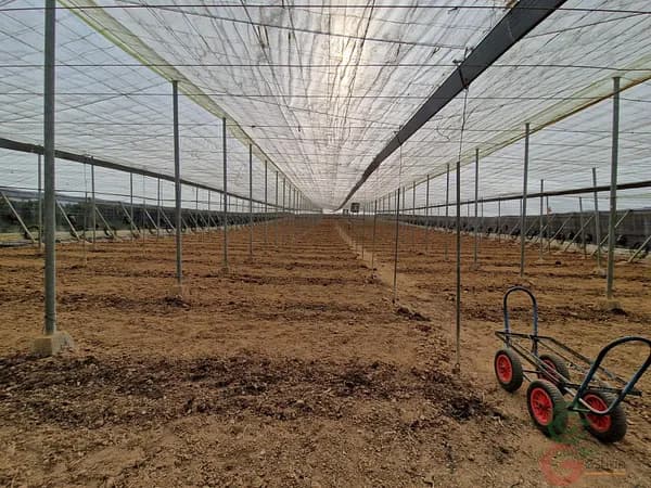 Finca agrícola de 0,45 ha en venta en Molvízar, Granada