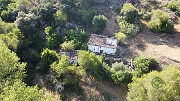 Finca agrícola de 5 ha en venta en Algatocin, Málaga