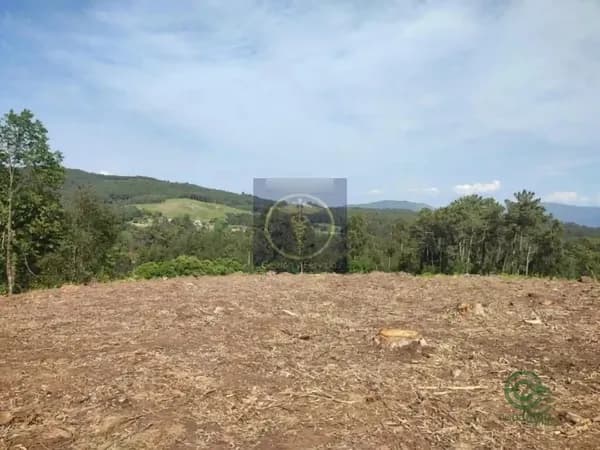 Finca de recreo de 0,6164 ha en venta en Tui, Pontevedra