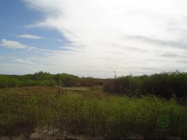 Finca rústica de 9700 ha en venta en Santiago del estero