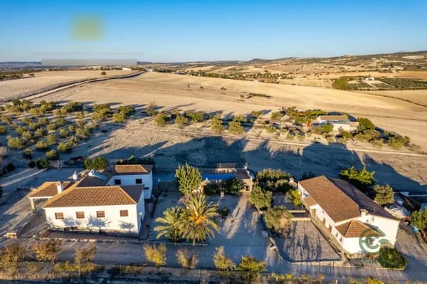 Finca rústica de 2,95 ha en venta en Arcos de la frontera, Cadiz