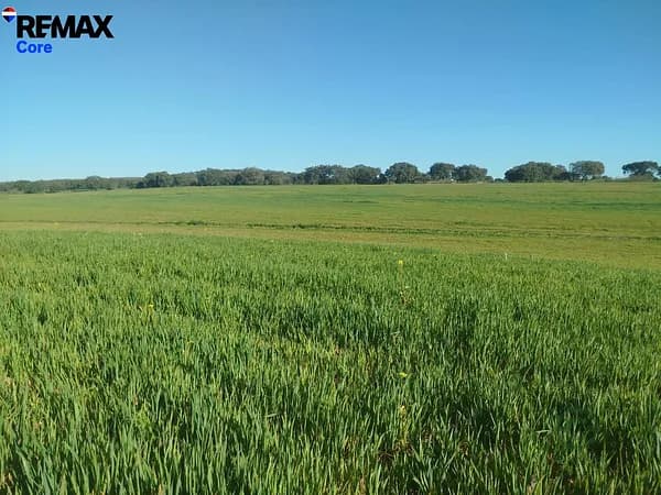 Finca agrícola de 8 ha en venta en Badajoz
